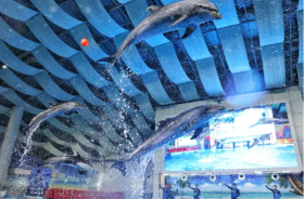 Hefei Ocean World