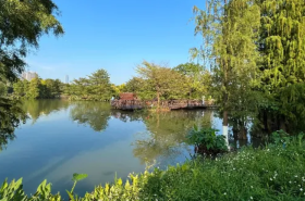 Haizhu National Wetland Park