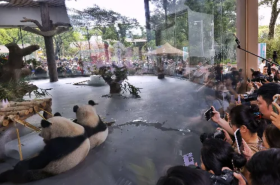 Guangzhou Zoo