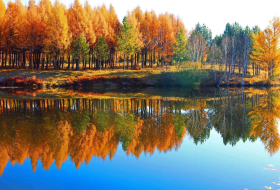 Saihanba National Forest Park