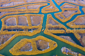 Hongze Lake Wetland Scenic Area