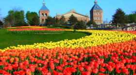 Shenyang Expo Garden