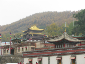 Xining Kumbum Monastery Scenic Area