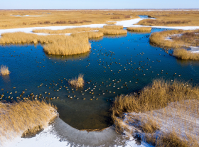 Dongying Yellow River Estuary Ecological Tourism Area