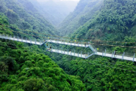Chuanxi Bamboo Sea