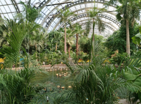 Tianjin Tropical Botanical Garden