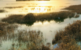 Lalikun National Wetland Park